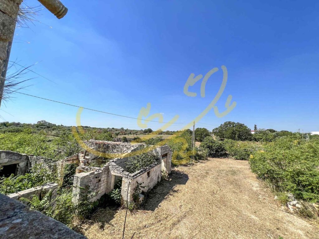 G1732483161240596