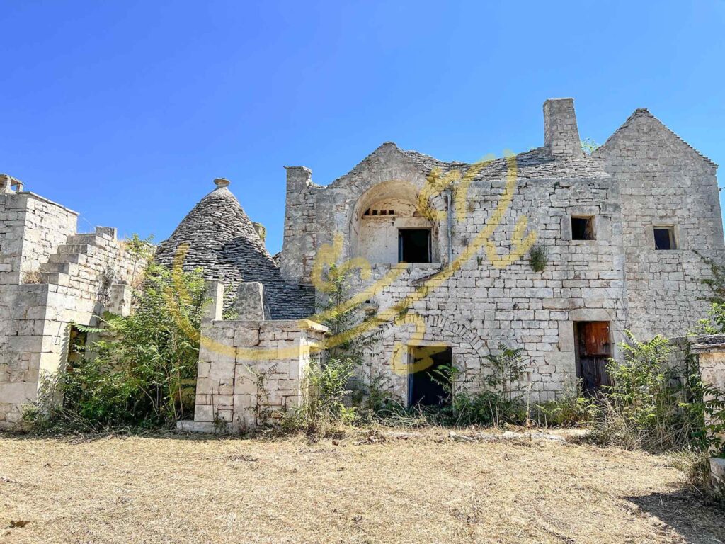 G1732483162519382