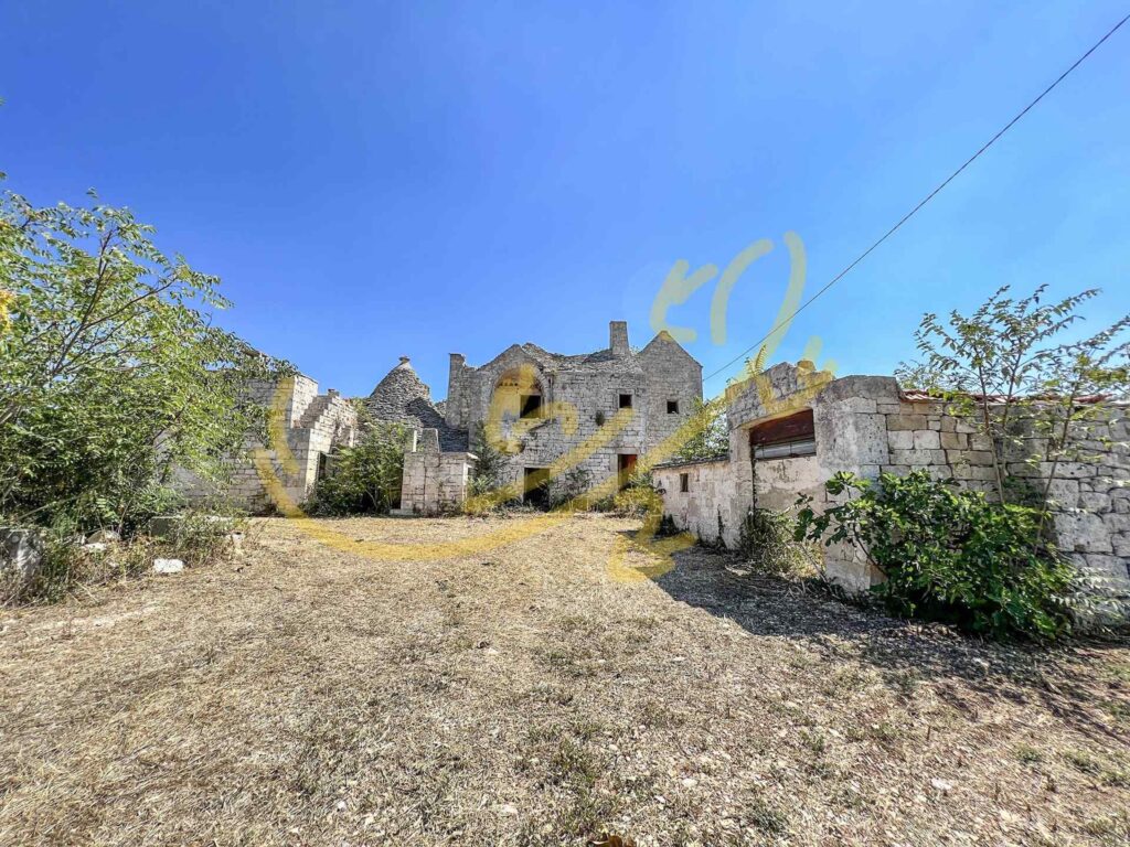 G1732483163901266