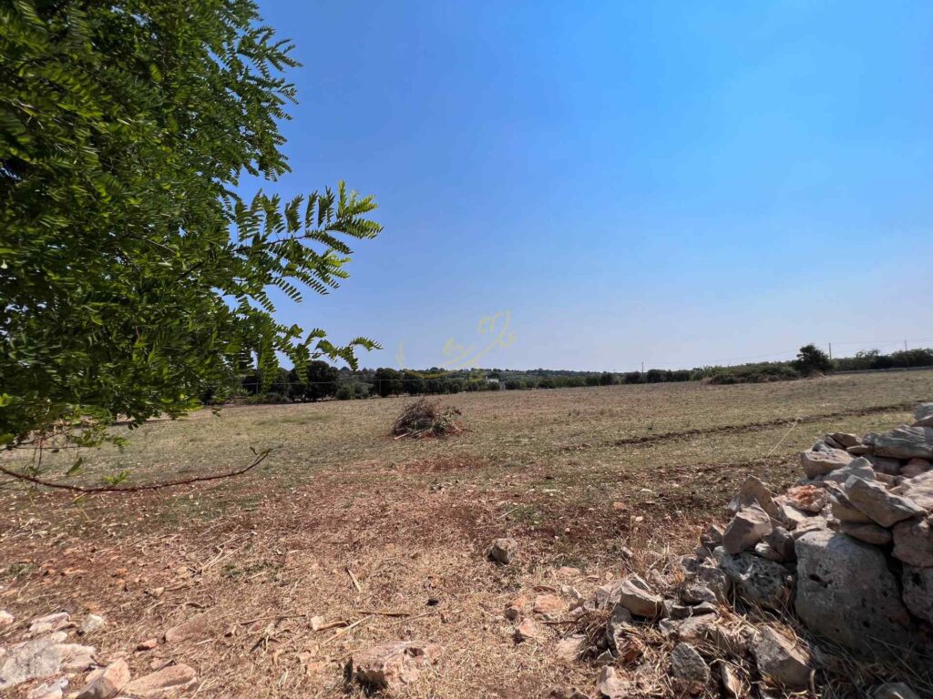 G1732484190167939
