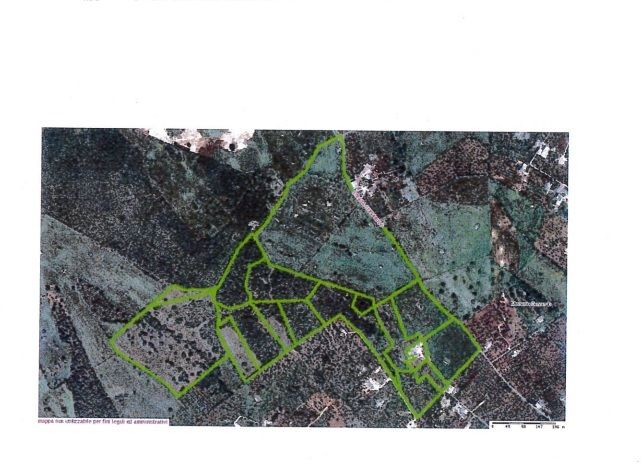 G1732484192328713