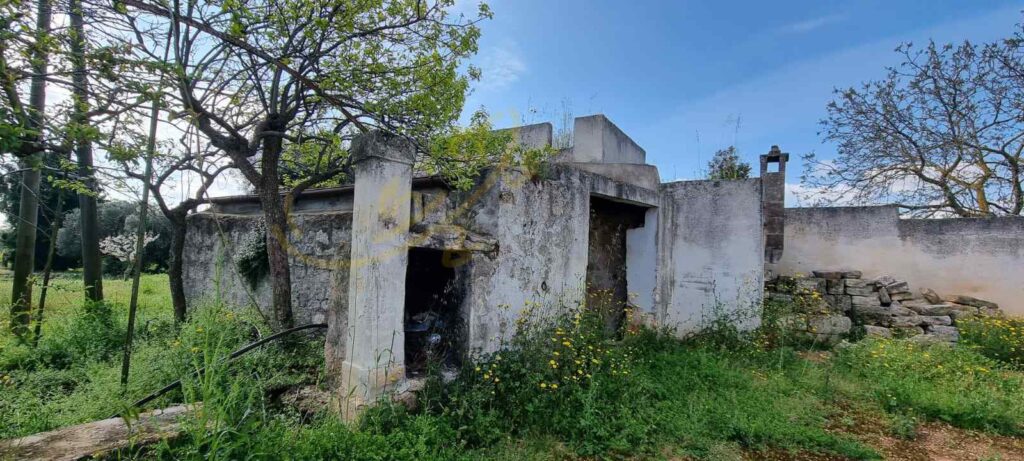 G1732484803270732
