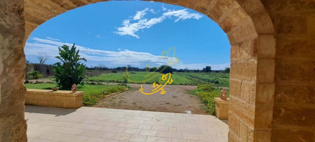 20241210175018-31