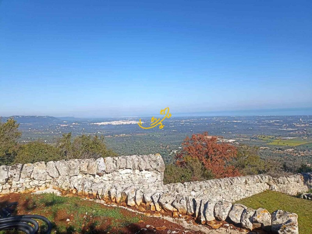 20250304102530-28