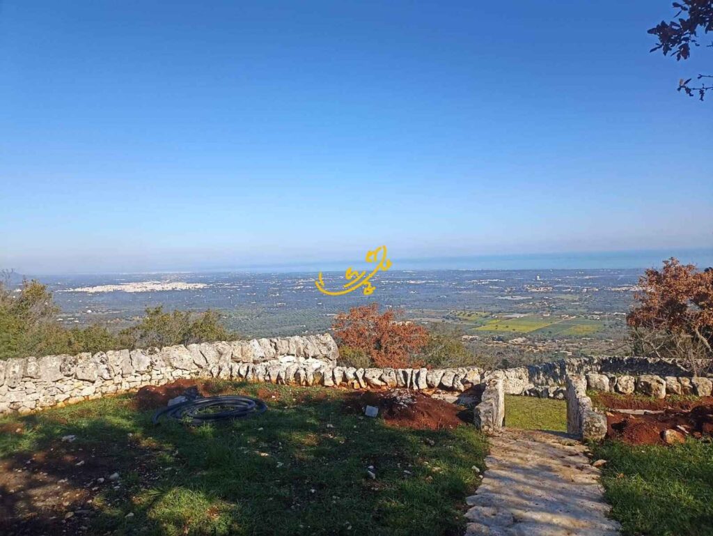 20250304102532-29