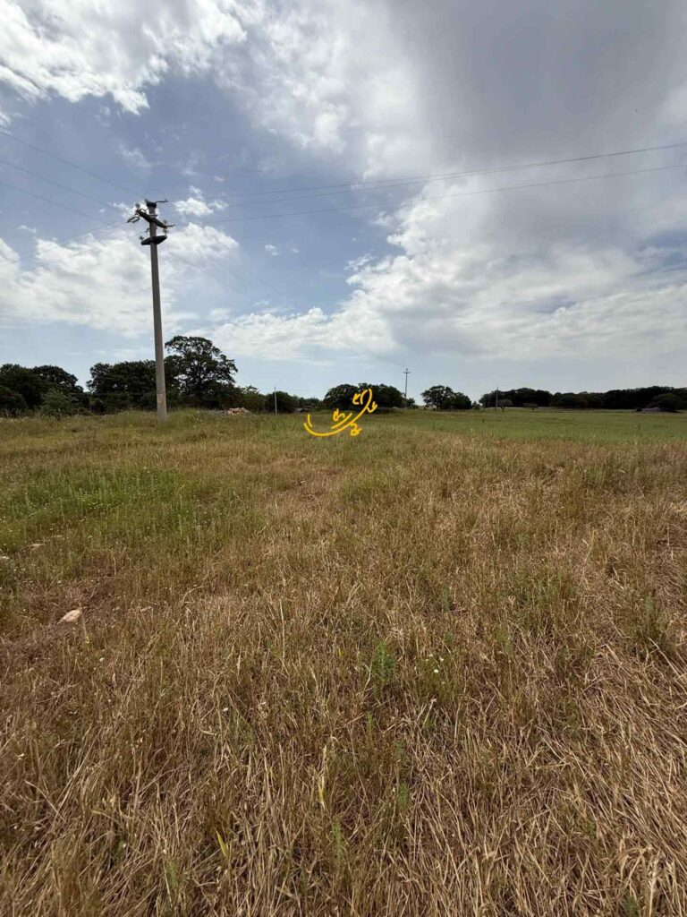 20250526191034-4
