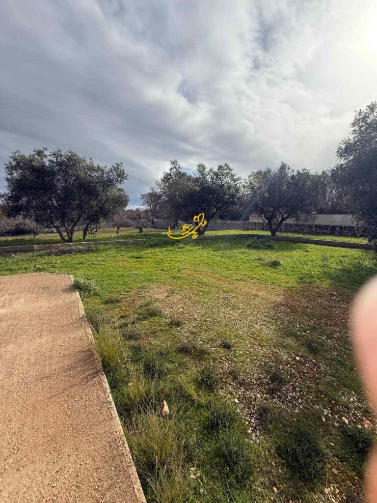 20260210194243-2