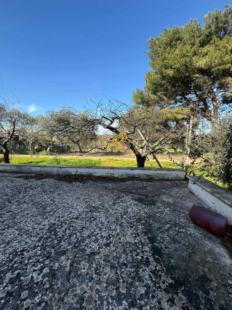 20260309190102-25