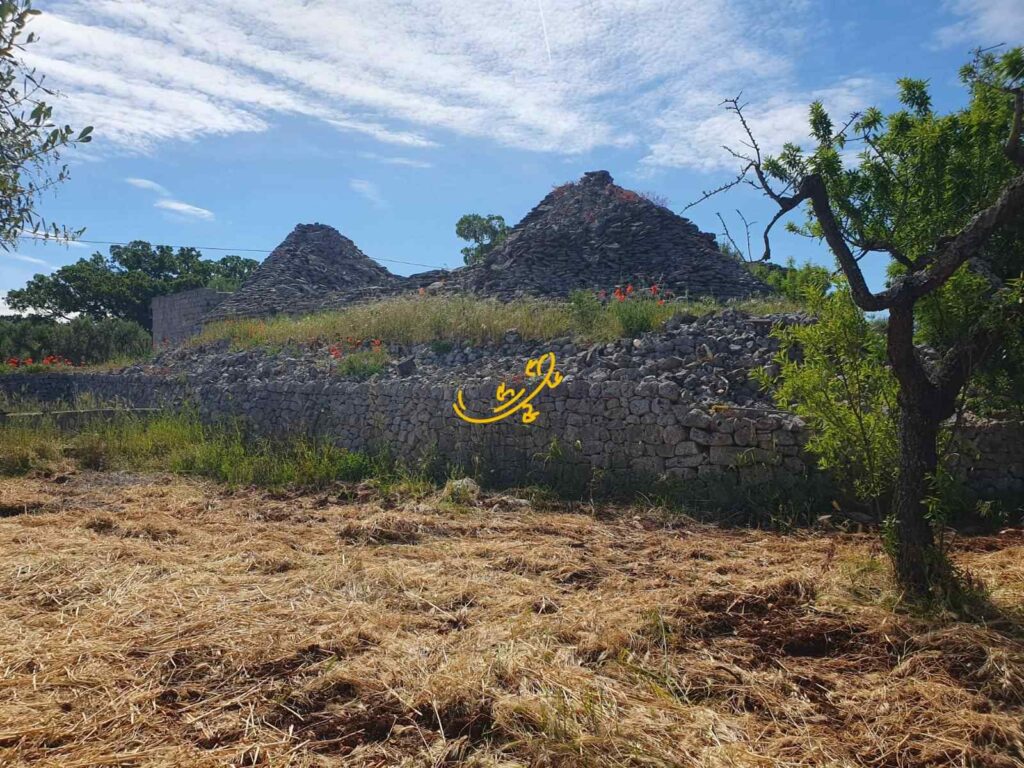 20260505172107-9