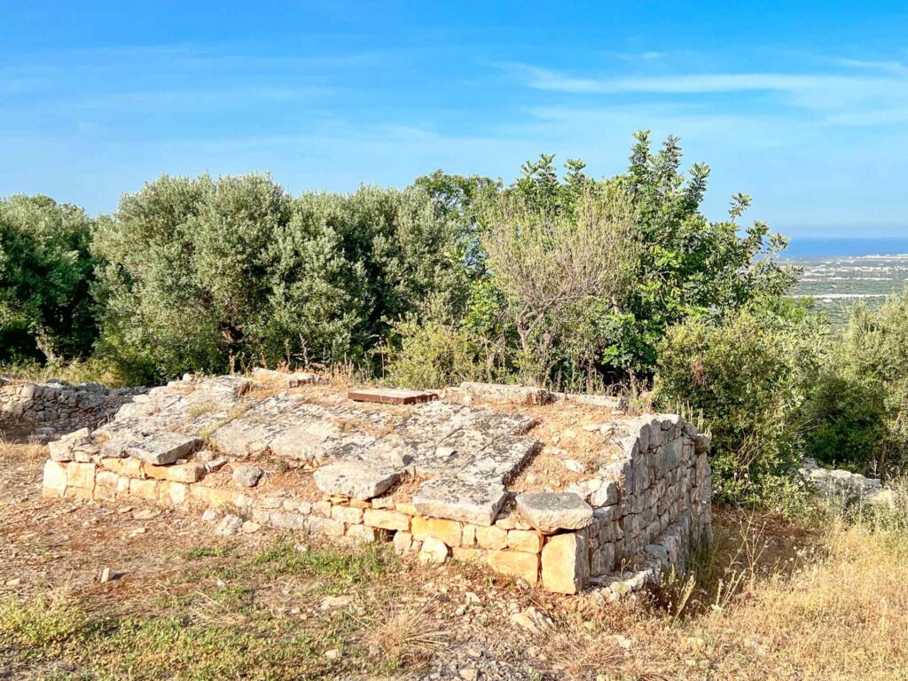 G1732483040766339