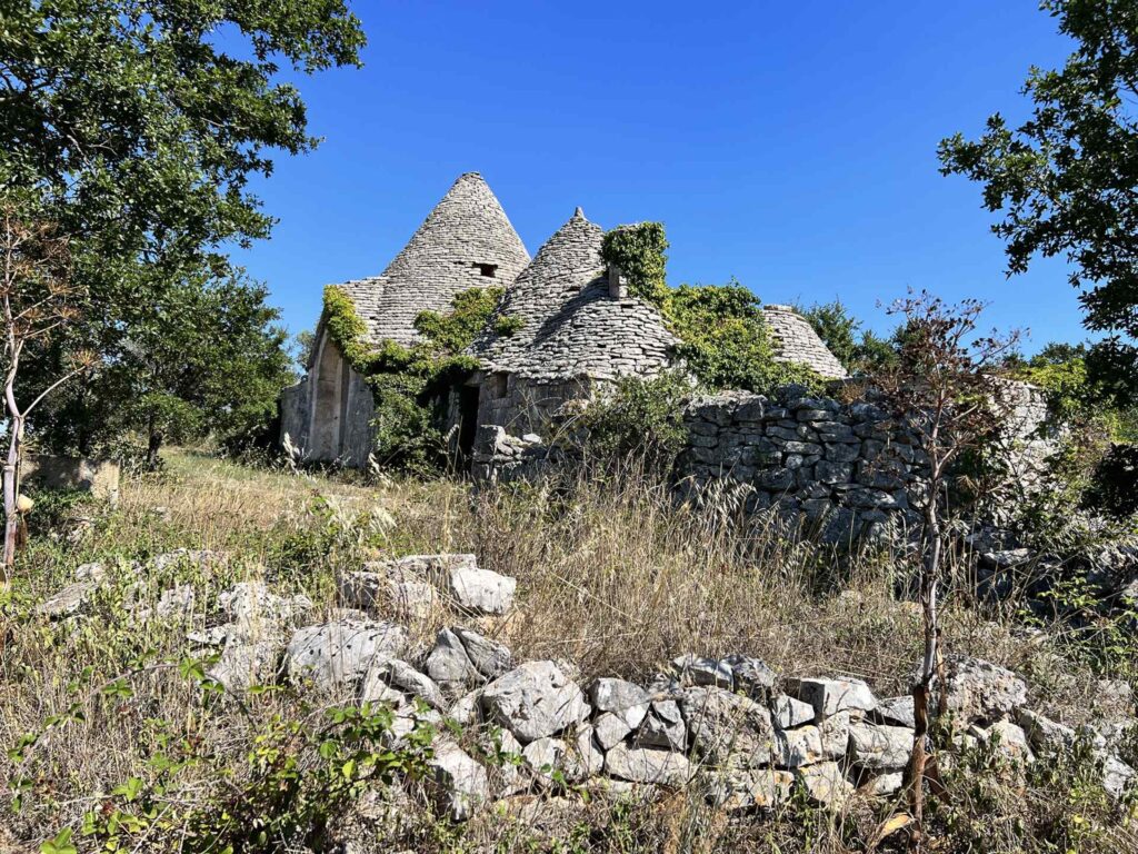 G173248322961081
