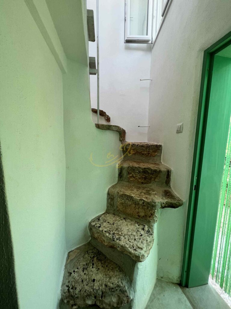 G1732483280378397