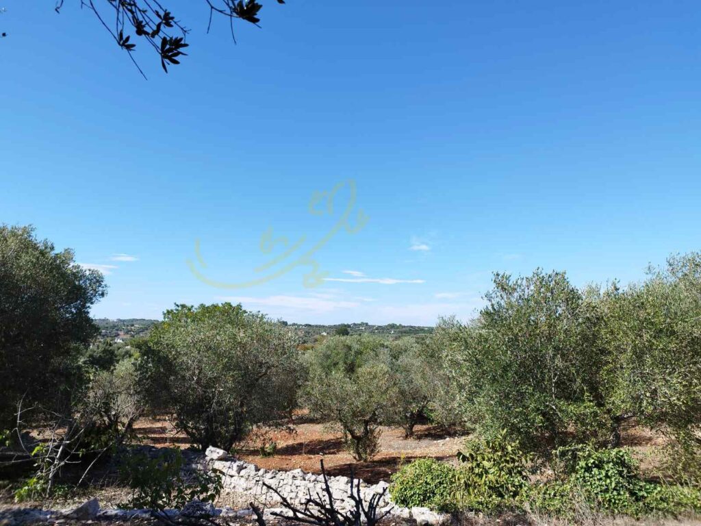 G1732484038640745