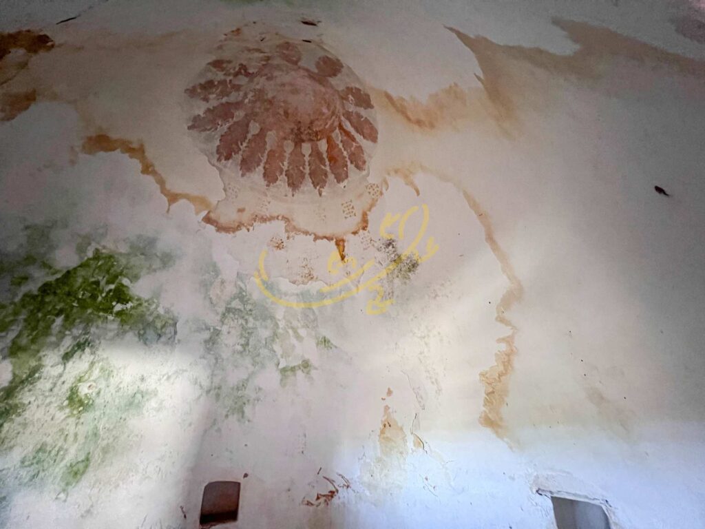 G1732484621499050