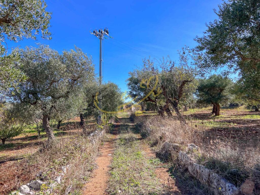 G173248462453134