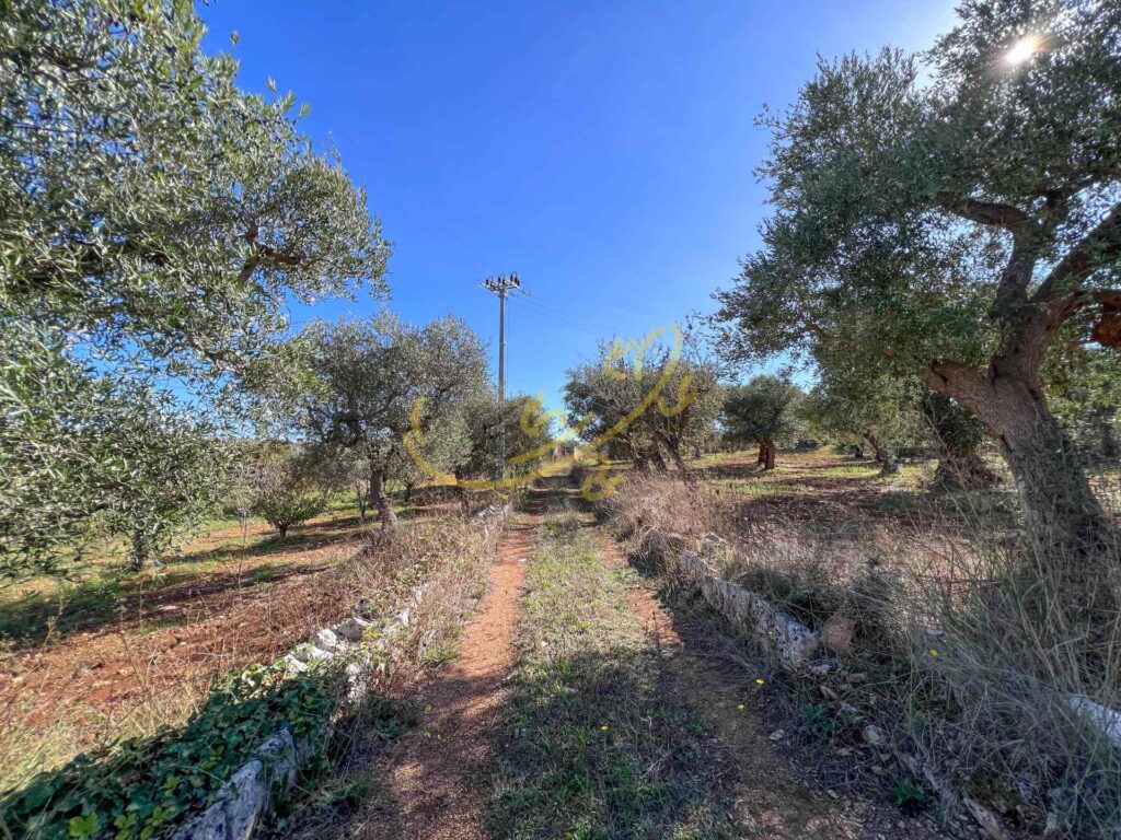 G1732484627133727