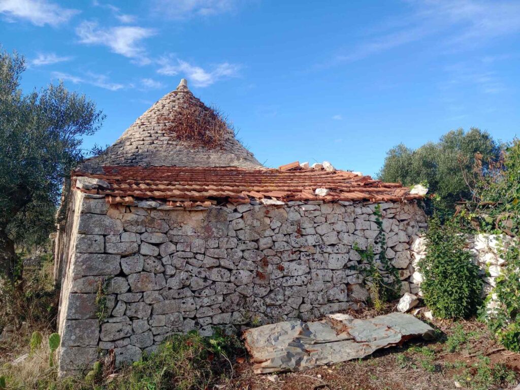 G1732484691766455