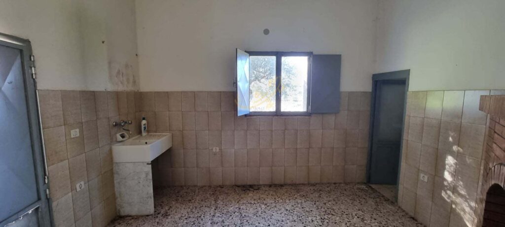 G1732484707758481