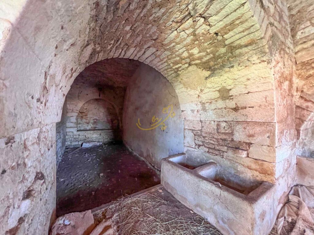 G1732485093832778