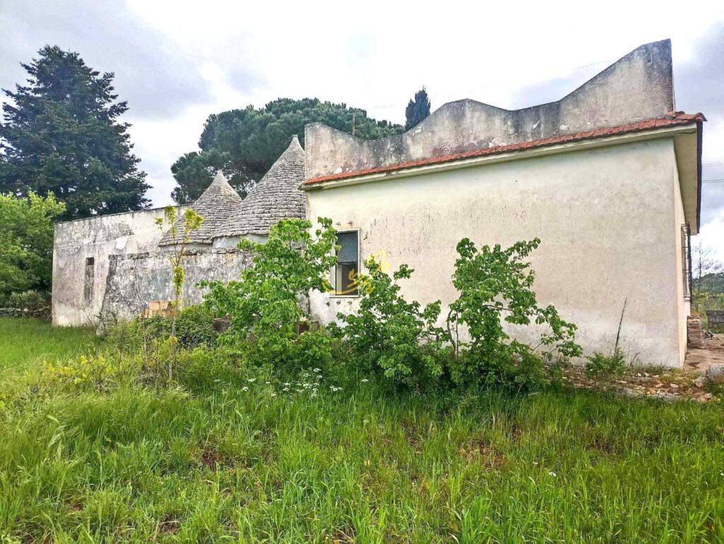 G1732485310752594