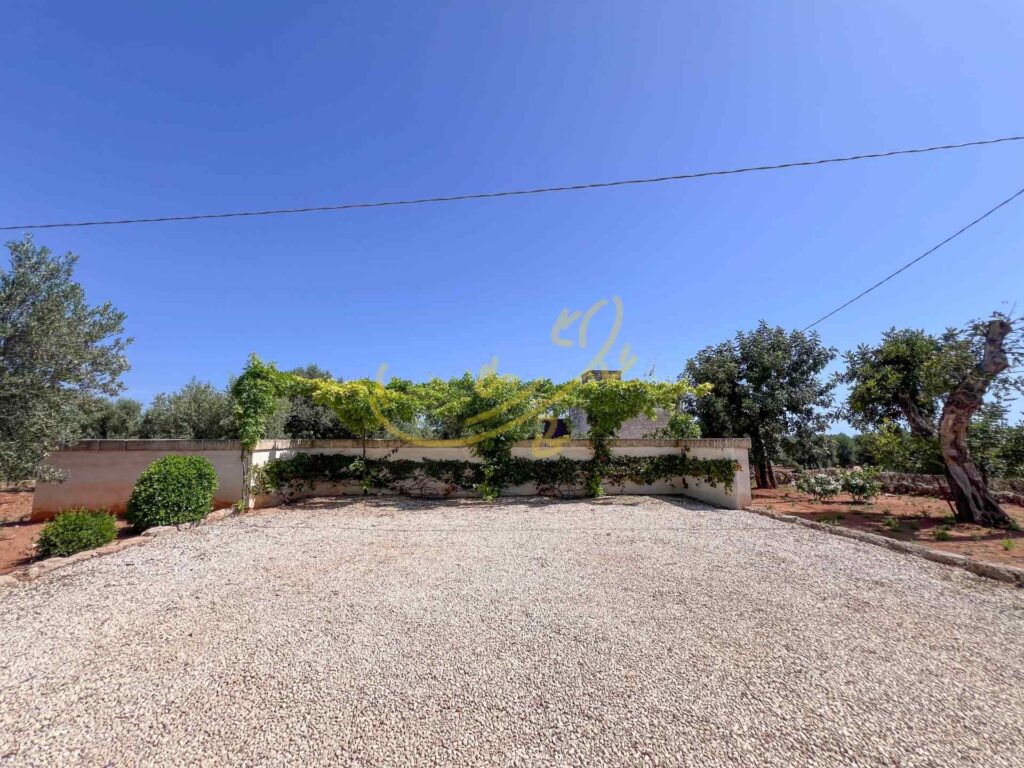 G1732485510657059