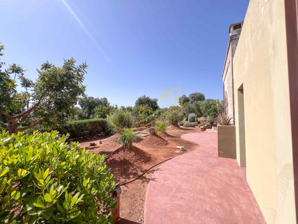 G173248551755974