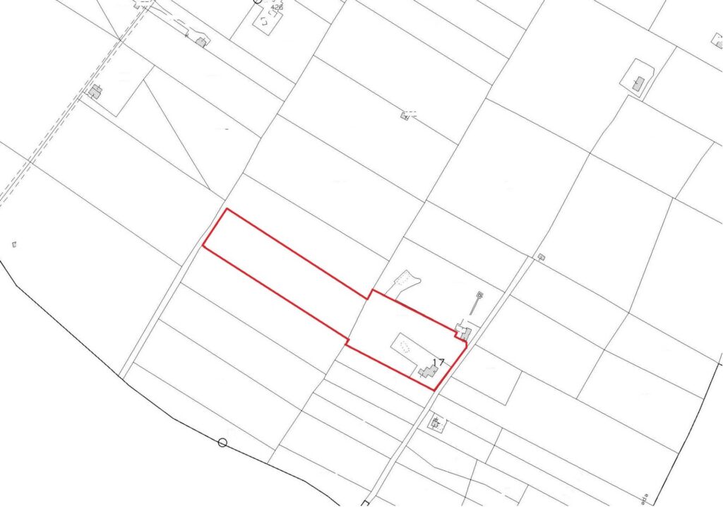 G1732485521169249
