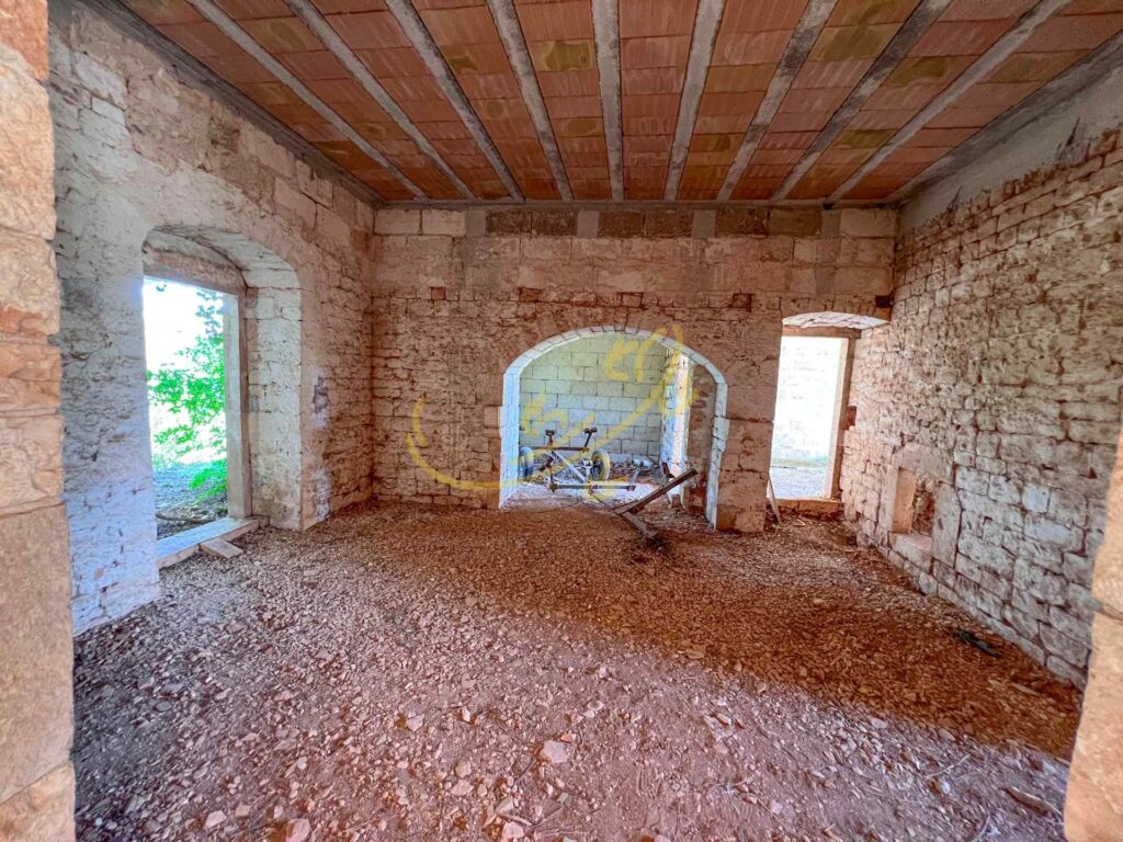 G1732485564711643