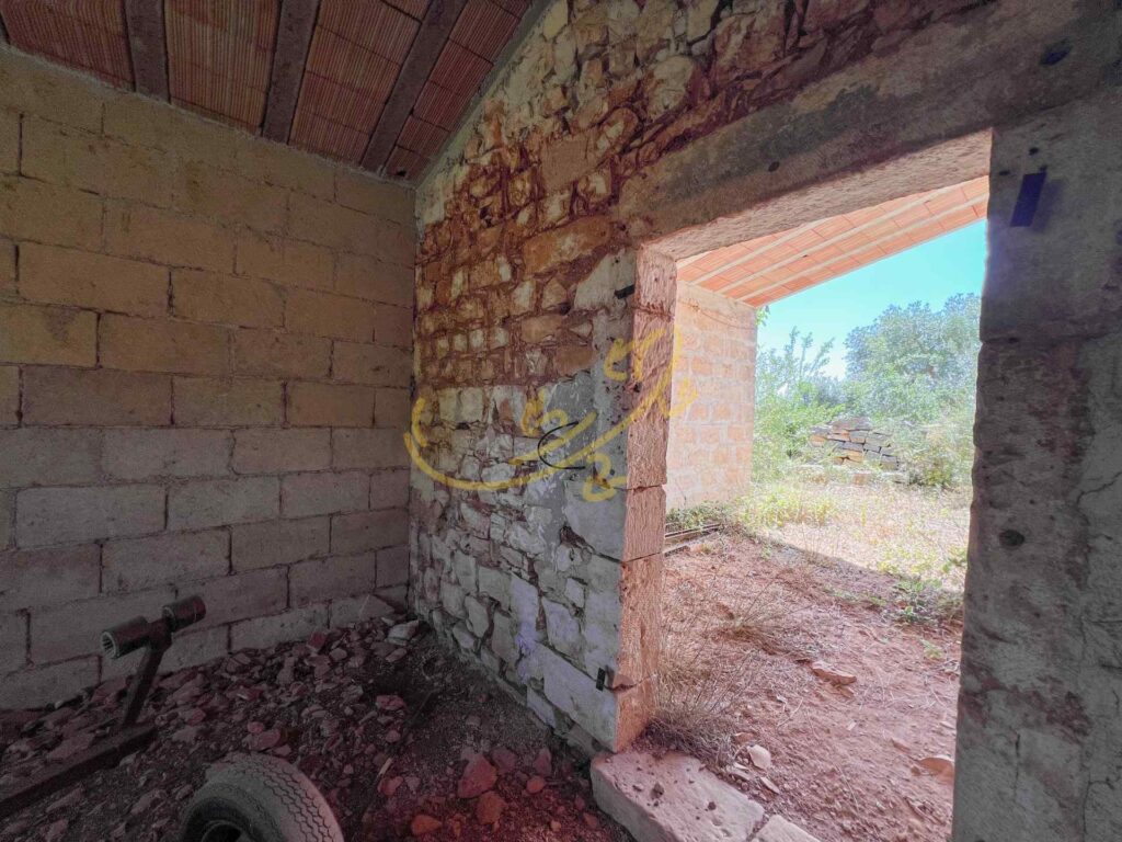 G1732485572972909