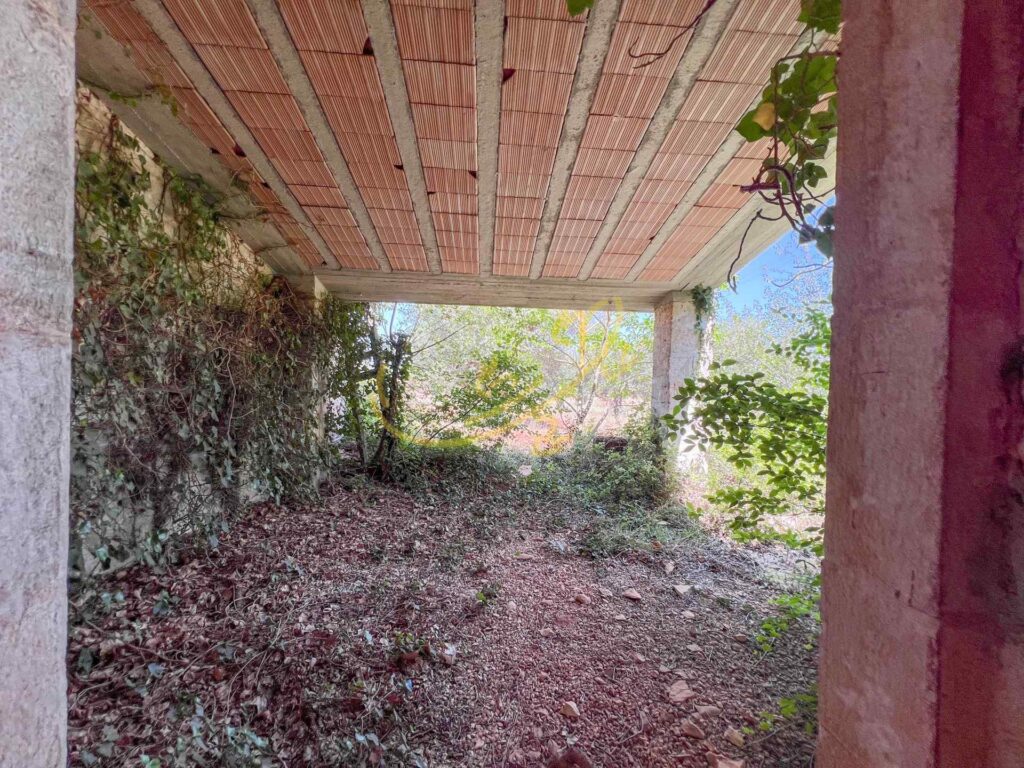 G1732485580792380