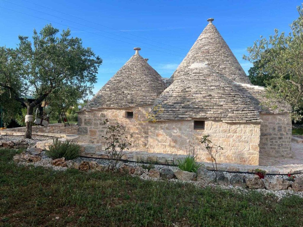 G1732485685464465