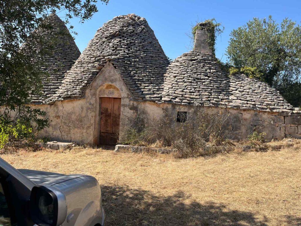 G1732485883516273
