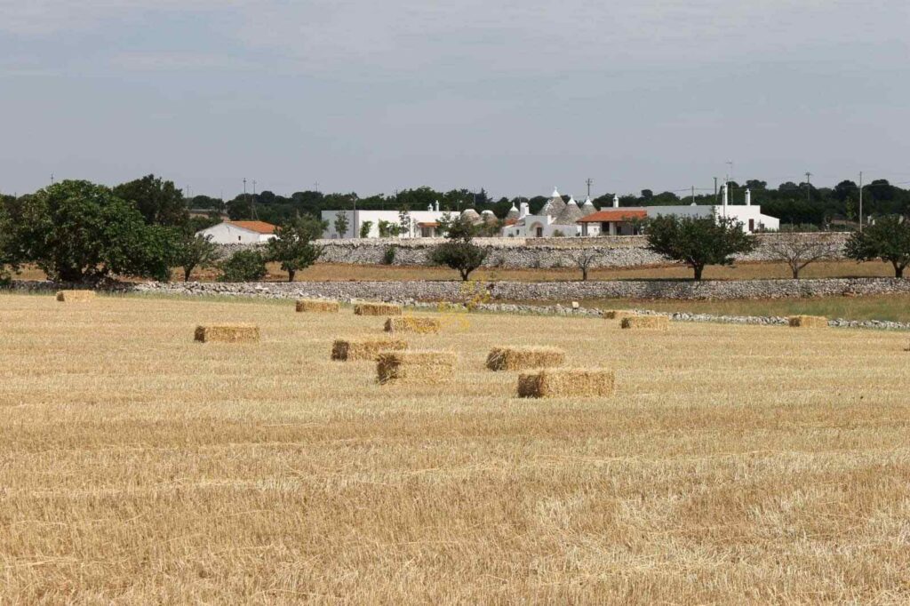 G173248598169870
