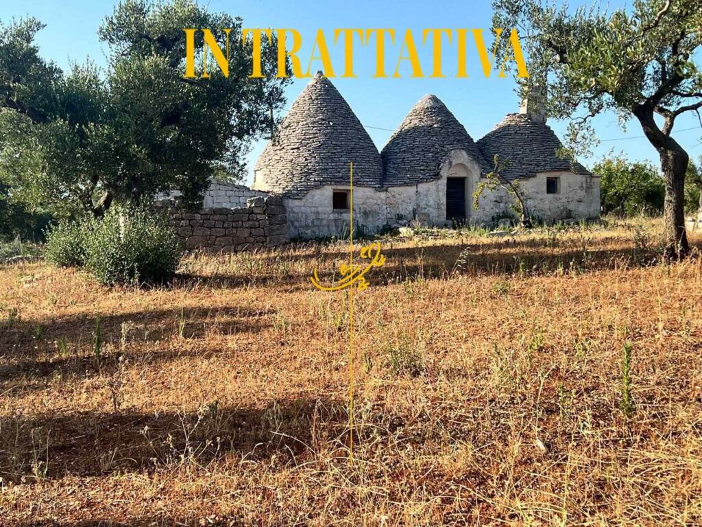 f0289251001768988270
